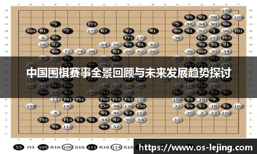 中国围棋赛事全景回顾与未来发展趋势探讨