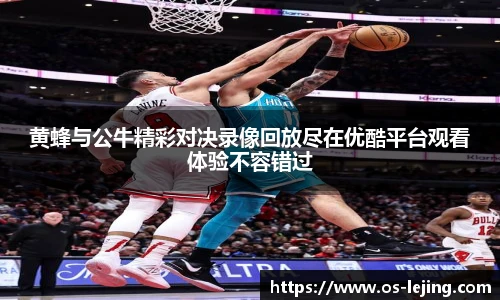 黄蜂与公牛精彩对决录像回放尽在优酷平台观看体验不容错过